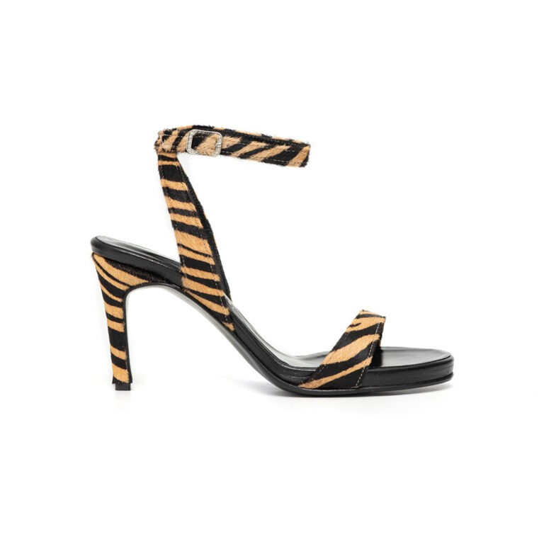 CINDY-ZEBRA-01